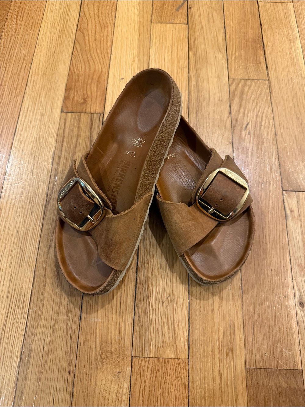 Madrid Big Buckle - Oiled Leather